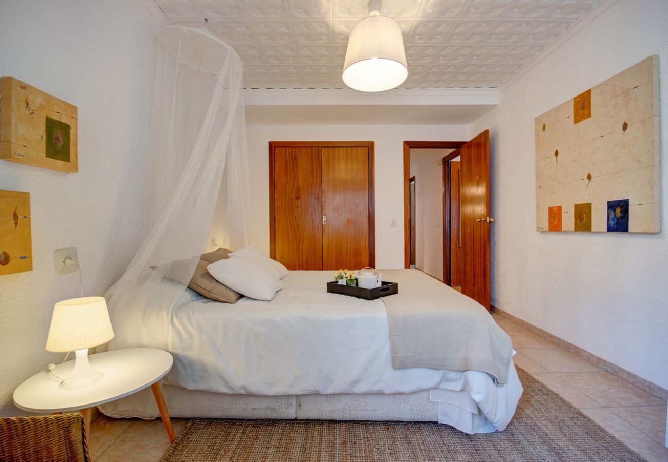 Apartamento en Valencia - El apartamento Desplat en Valencia